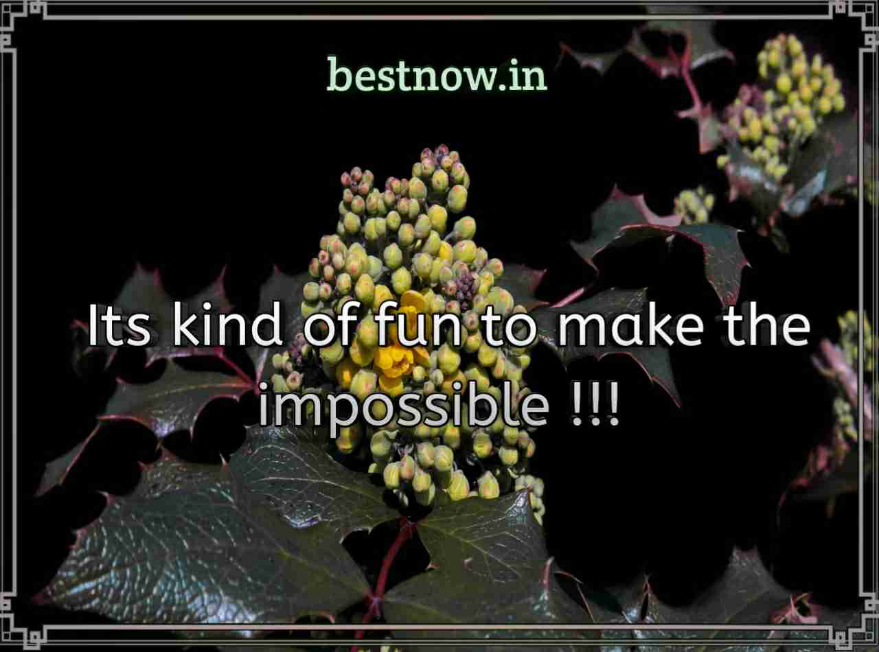 WhatsApp status in English 