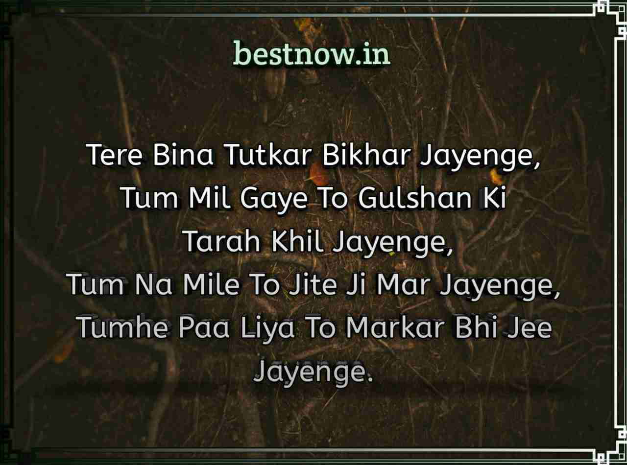 Love shayari in English