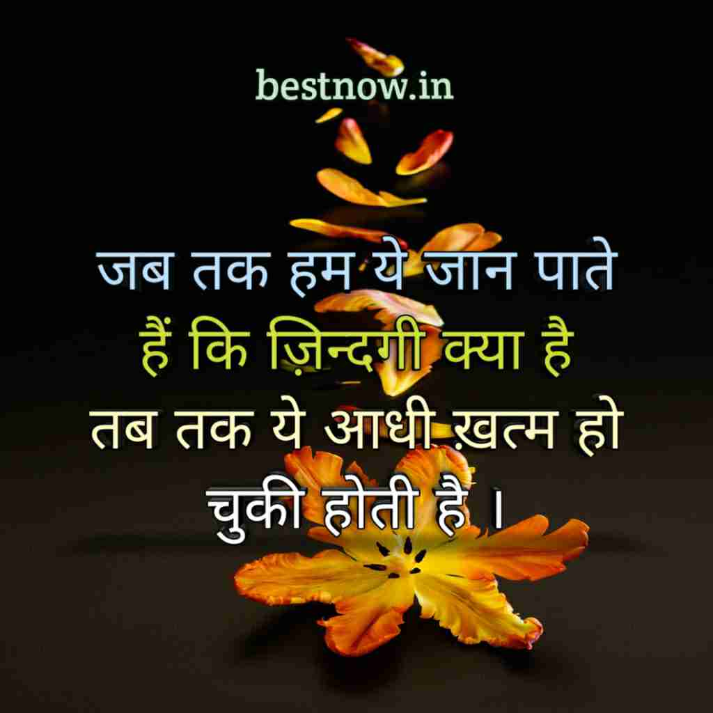 Whatsapp Profile Pic Life