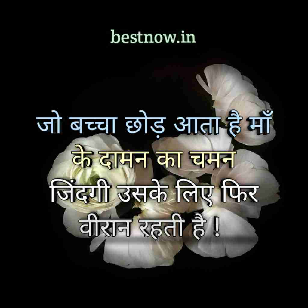 Whatsapp Profile Pic Life