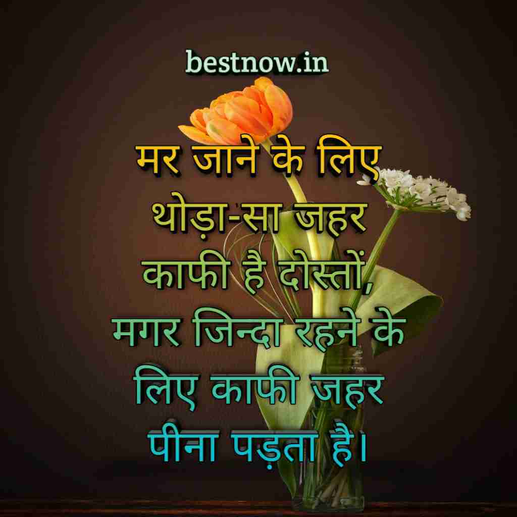 Whatsapp Profile Pic Life