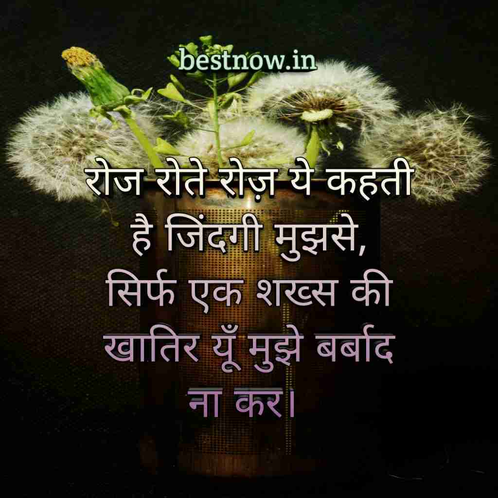 Whatsapp Profile Pic Life