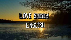 Read more about the article 199+ Love shayari in English [2025]