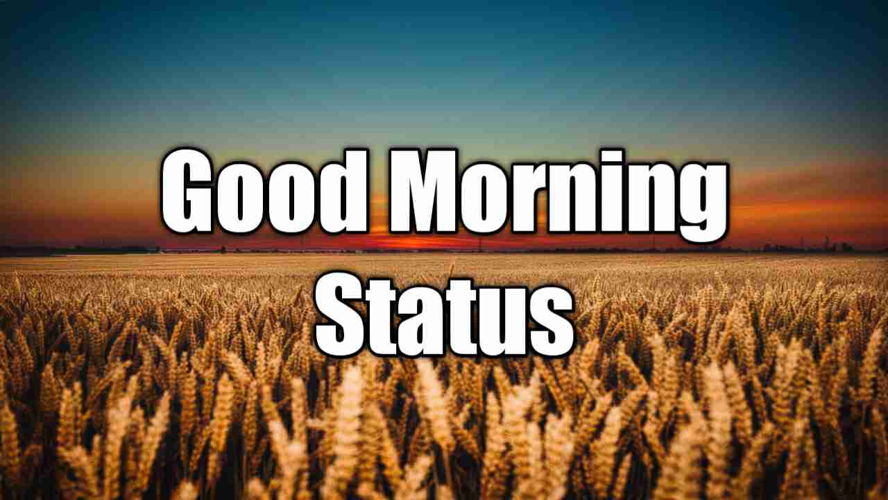 Read more about the article [1000+] Good Morning Status in Hindi – गुड मॉर्निंग स्टेटस इन हिंदी (2025)