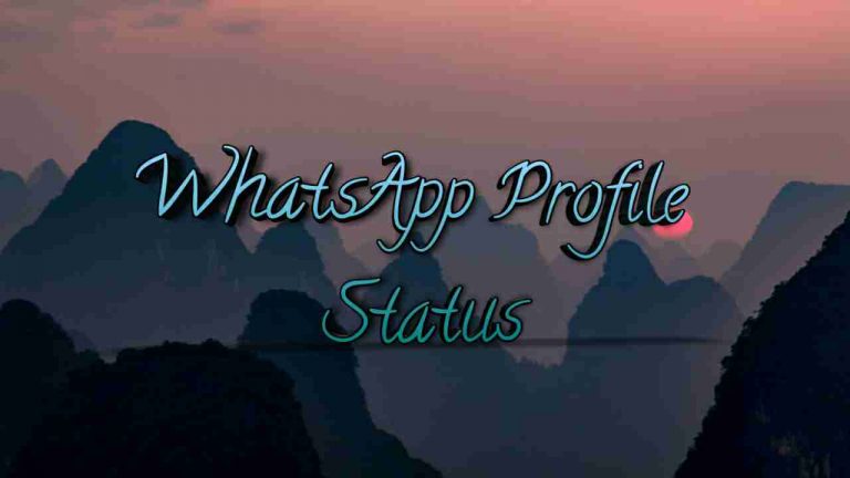 WhatsApp Profile Status