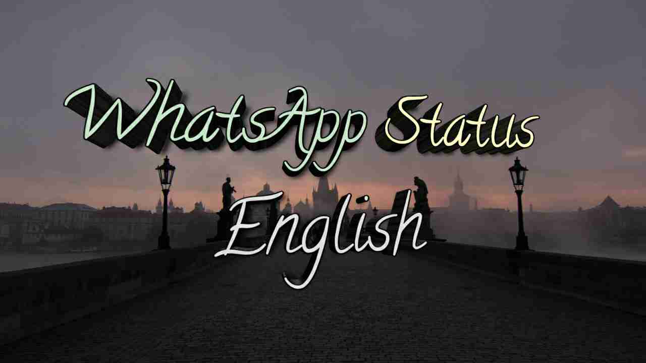 Read more about the article [786+] WhatsApp Status in English (2025) – Best English Status for WhatsApp