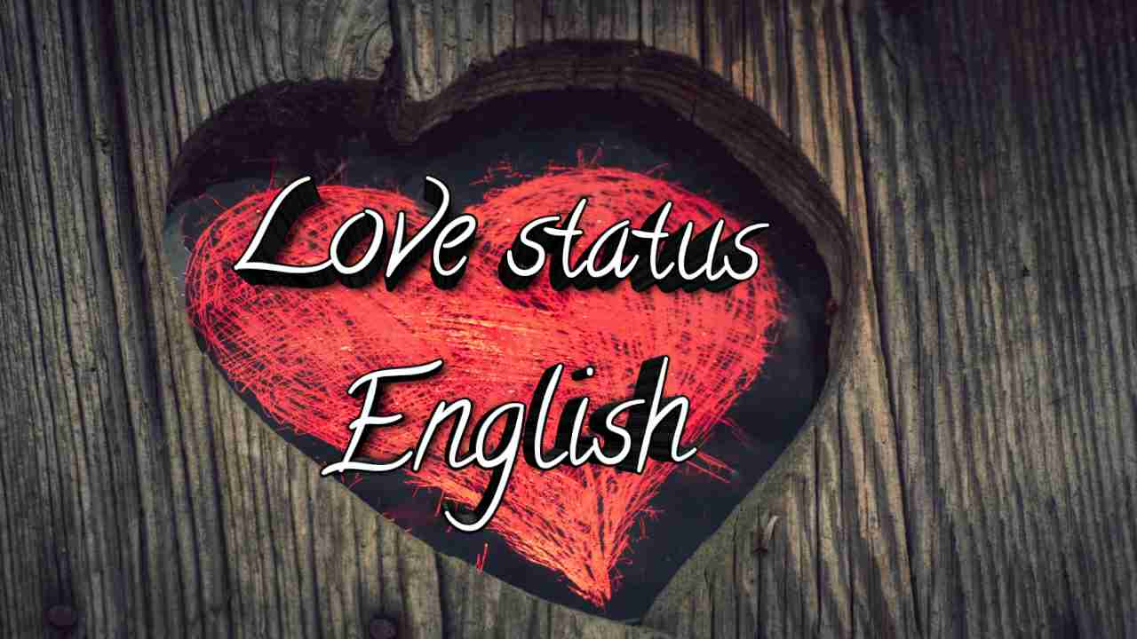 Read more about the article 295+ Love Status In English [2025] UPDATED