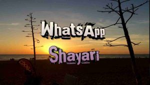 Read more about the article [1026+] WhatsApp Shayari in Hindi – व्हाट्सएप शायरी इन हिंदी (2025)