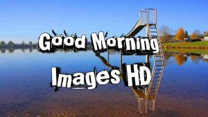 Read more about the article [1016+] Good Morning Images (2025) – Morning Wishes, Photos & Greetings