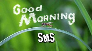 Read more about the article [1076+] Good Morning SMS in Hindi – गुड मॉर्निंग SMS इन हिंदी (2025)