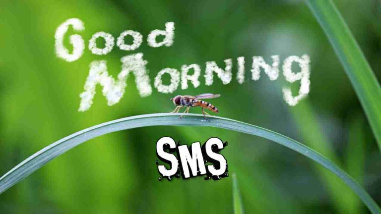 Good Morning SMS