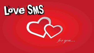 Read more about the article 250+ Love SMS In Hindi – Love Messages In Hindi [2025]