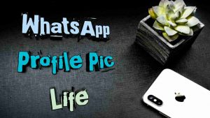 Read more about the article [1026+] WhatsApp Profile Pic Life in Hindi (2025)