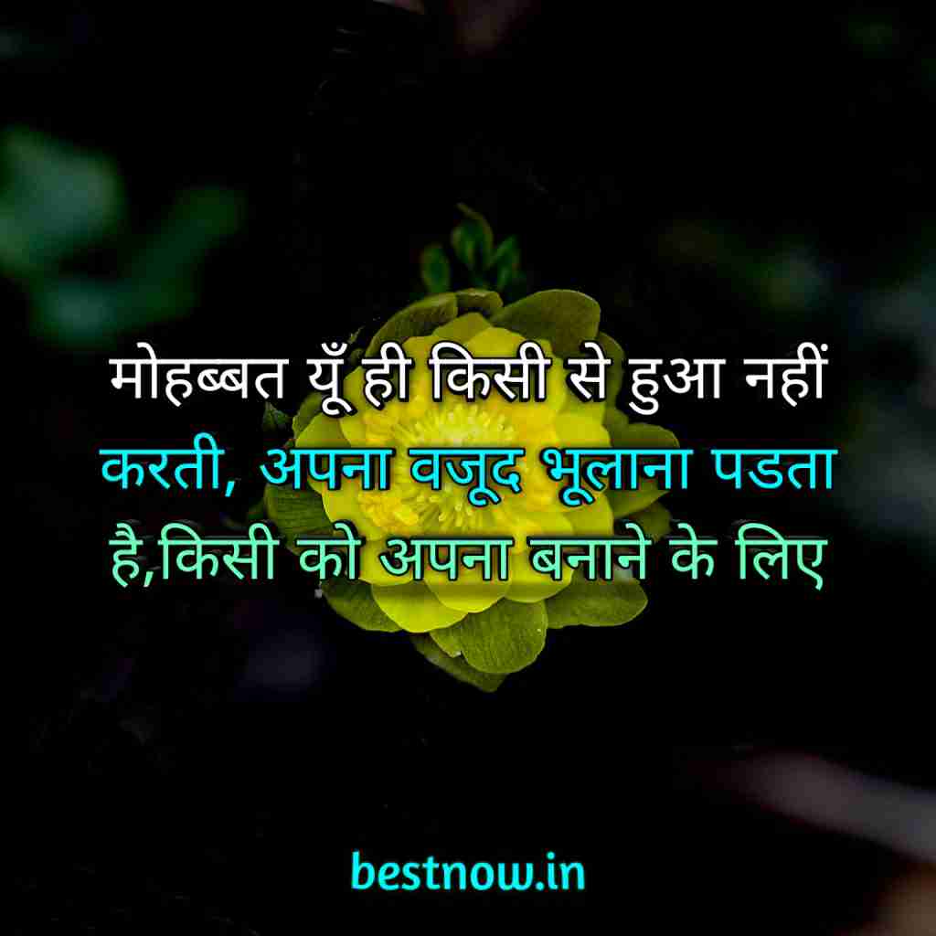 WhatsApp Profile Status