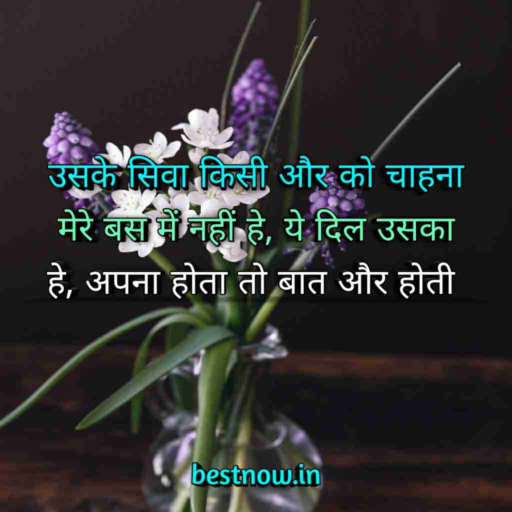 WhatsApp Profile Status