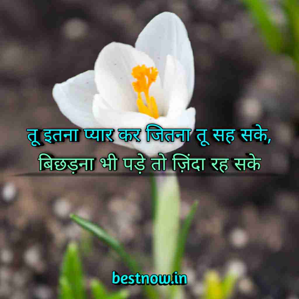 WhatsApp Profile Status