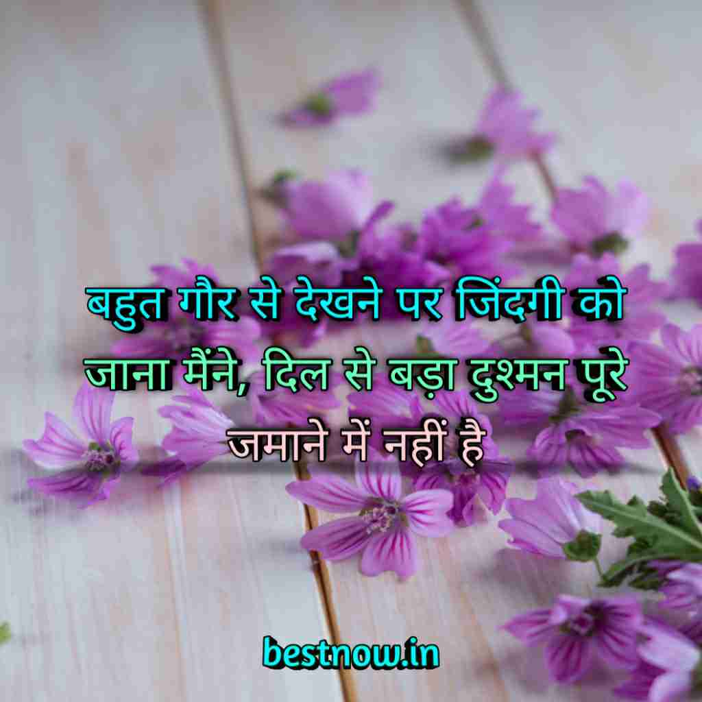 WhatsApp Profile Status