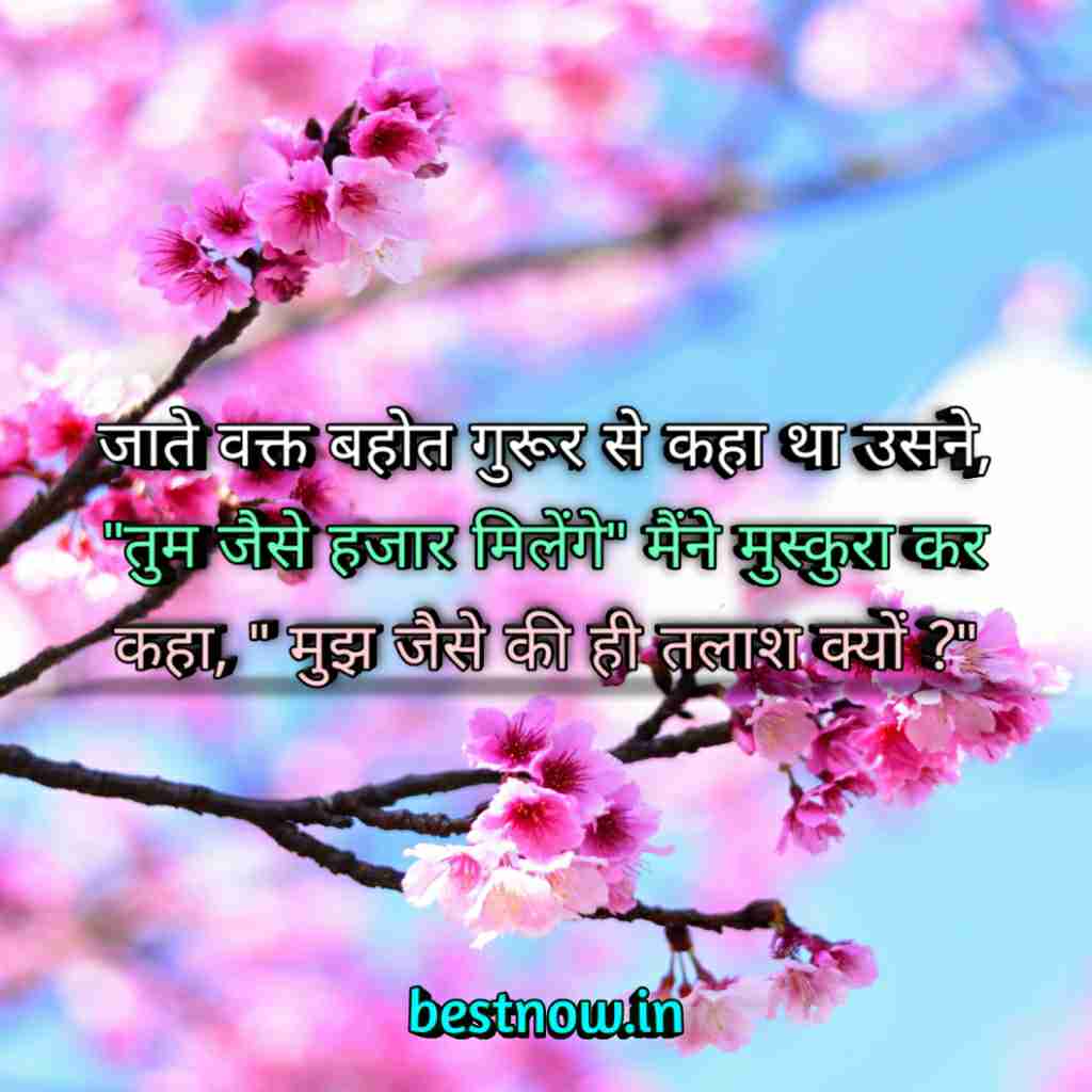 WhatsApp Profile Status