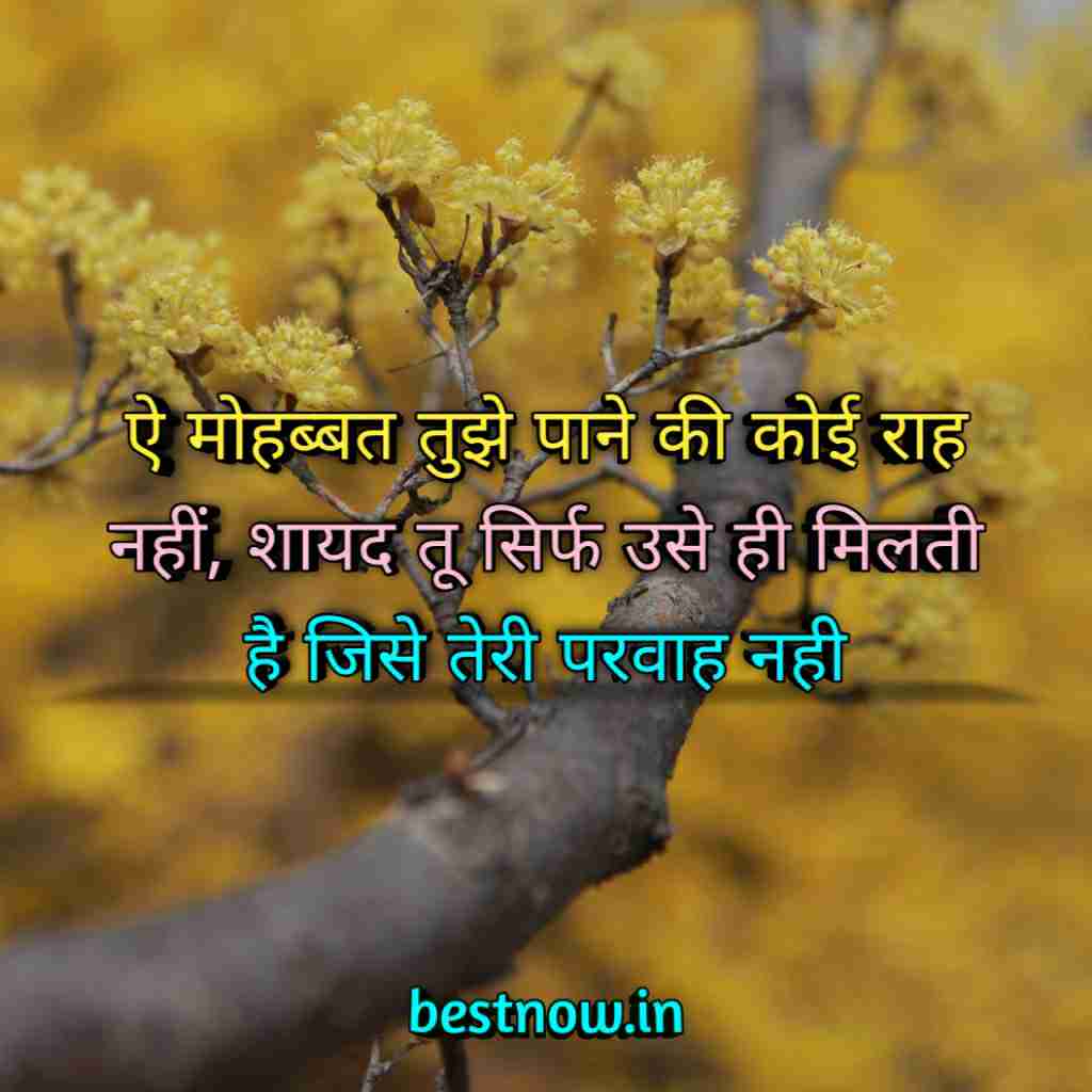 WhatsApp Profile Status