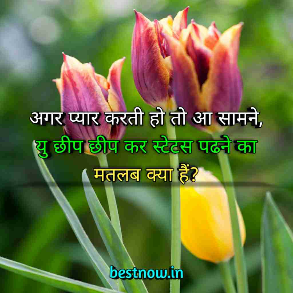 WhatsApp Profile Status