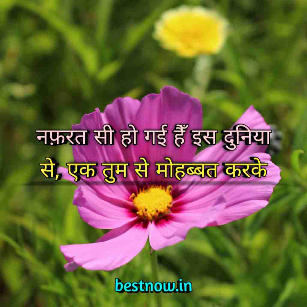 WhatsApp Profile Status