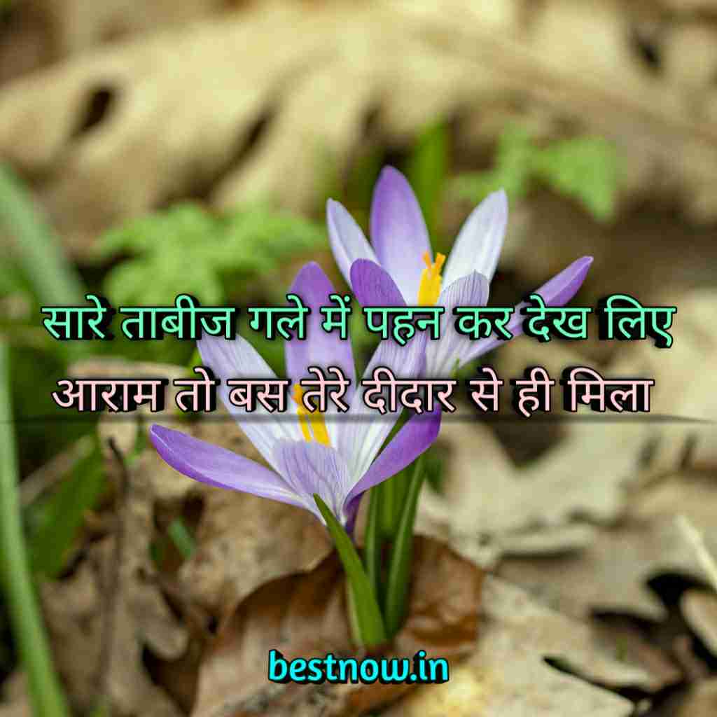 WhatsApp Profile Status