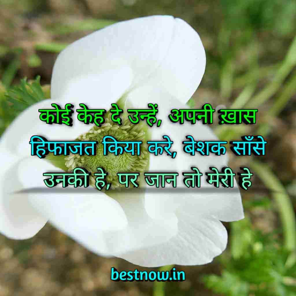 WhatsApp Profile Status