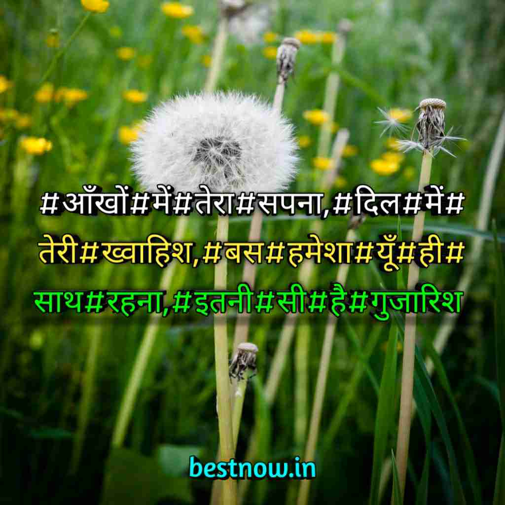 WhatsApp Profile Status