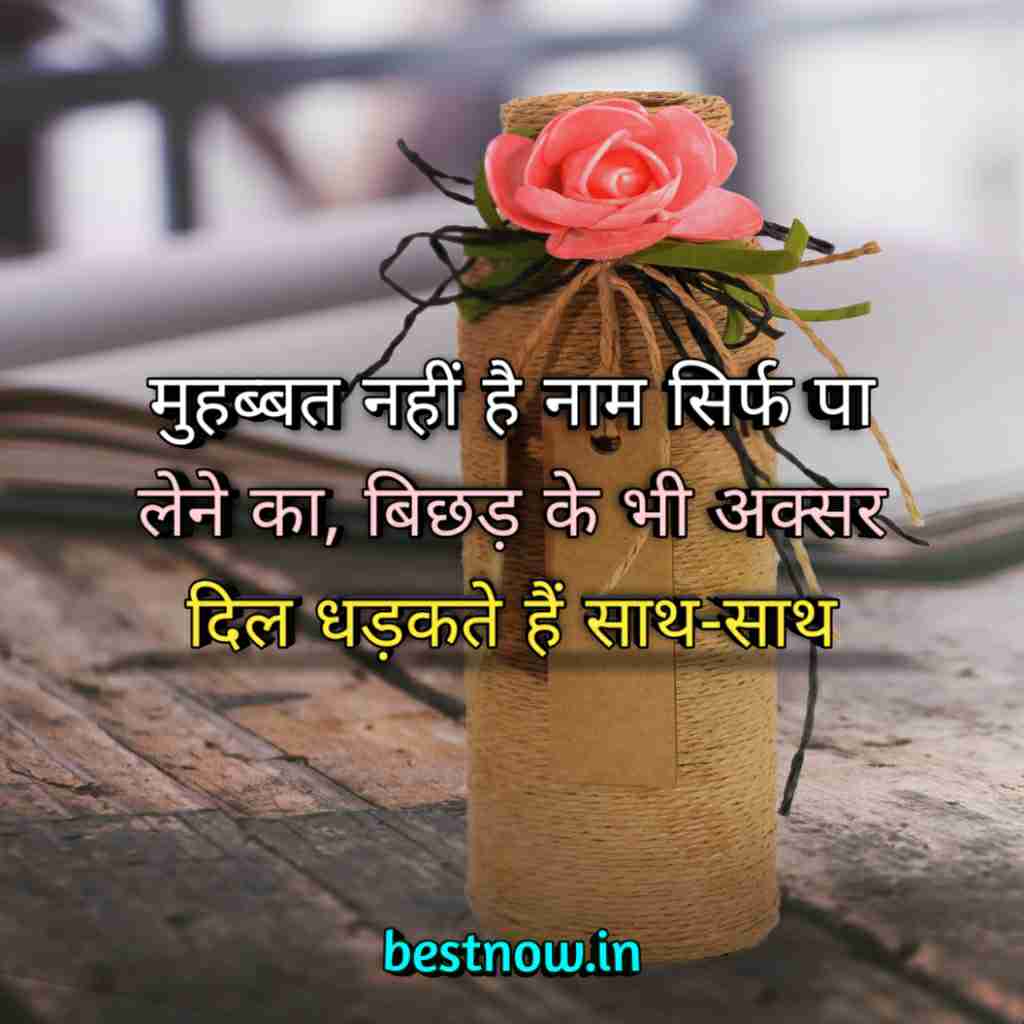 WhatsApp Profile Status