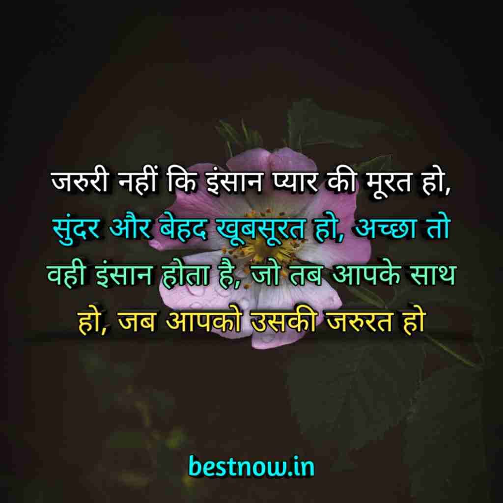 WhatsApp Profile Status