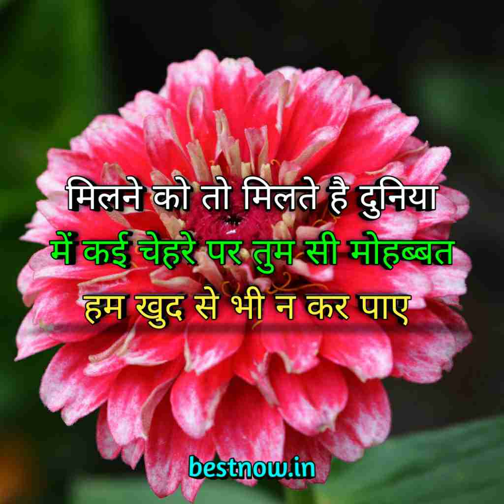 WhatsApp Profile Status