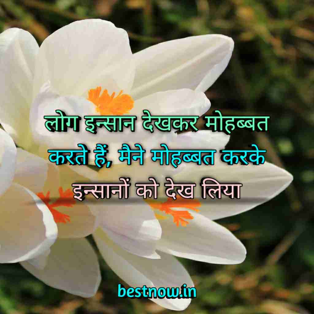 WhatsApp Profile Status