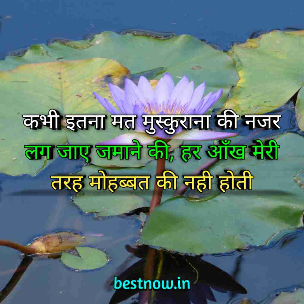 WhatsApp Profile Status