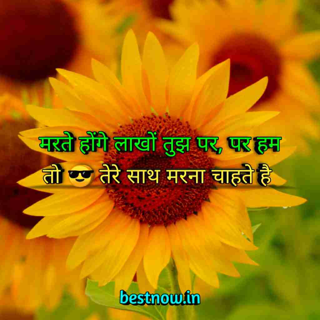 WhatsApp Profile Status