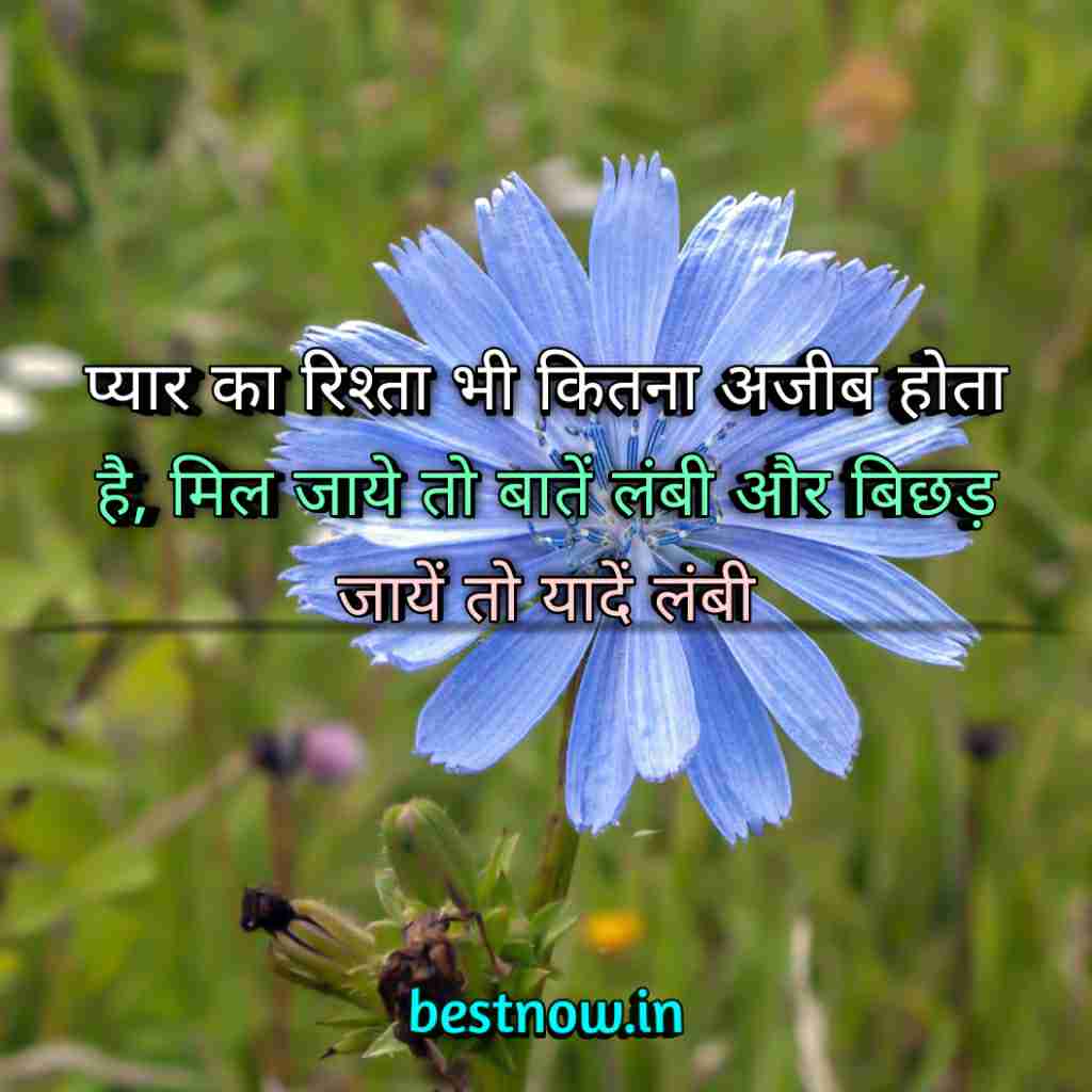 WhatsApp Profile Status