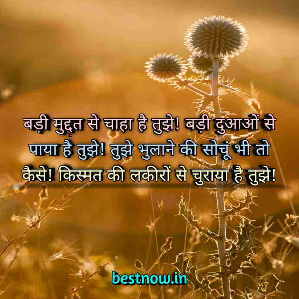 WhatsApp Profile Status