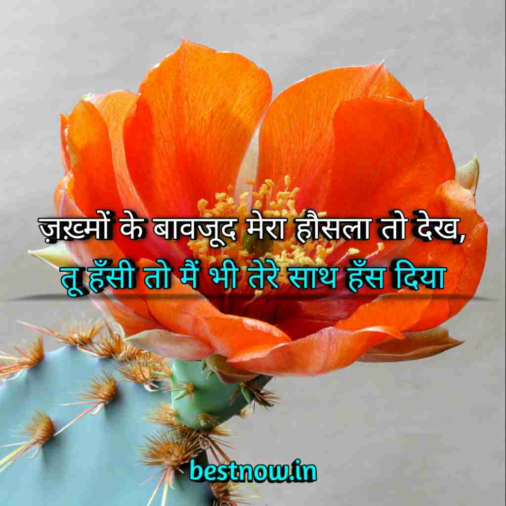 WhatsApp Profile Status