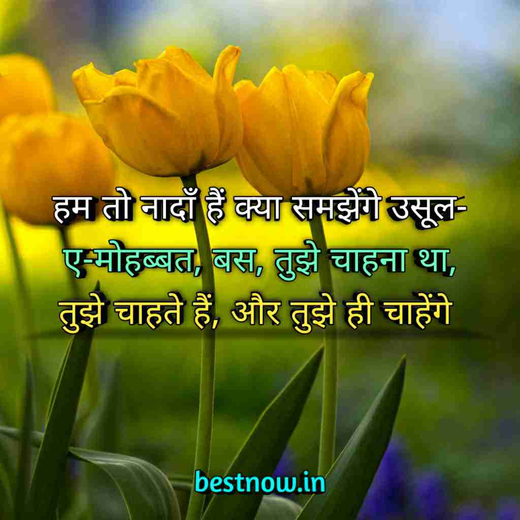 WhatsApp Profile Status