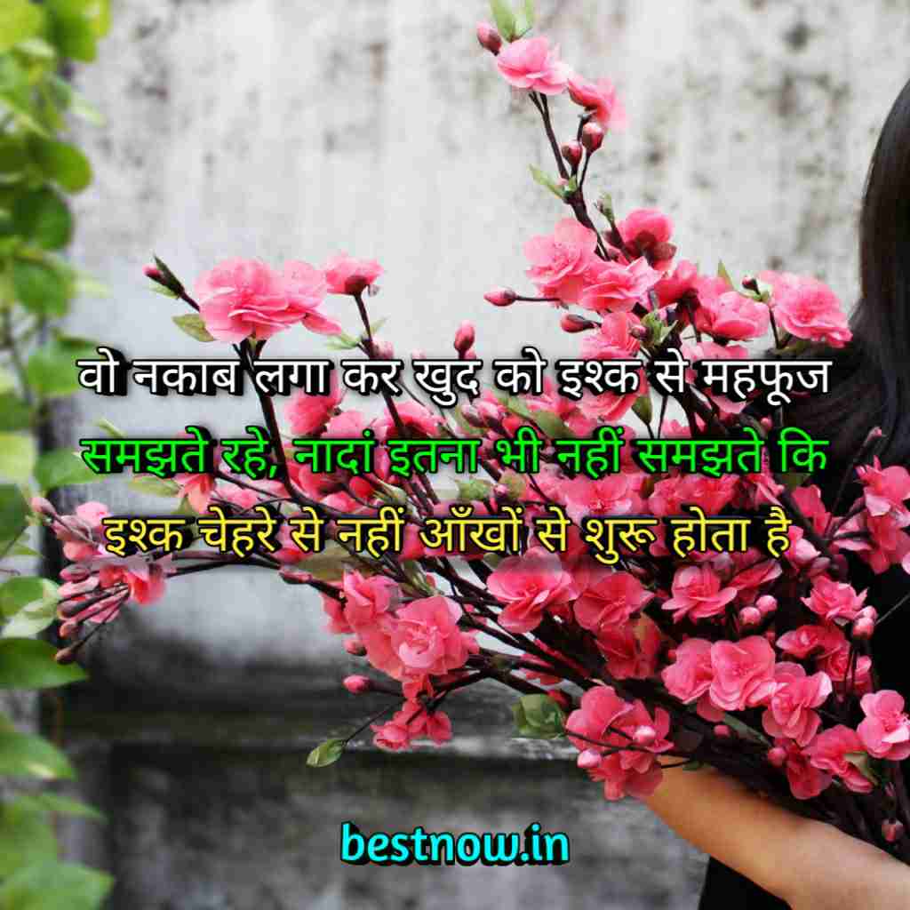 WhatsApp Profile Status