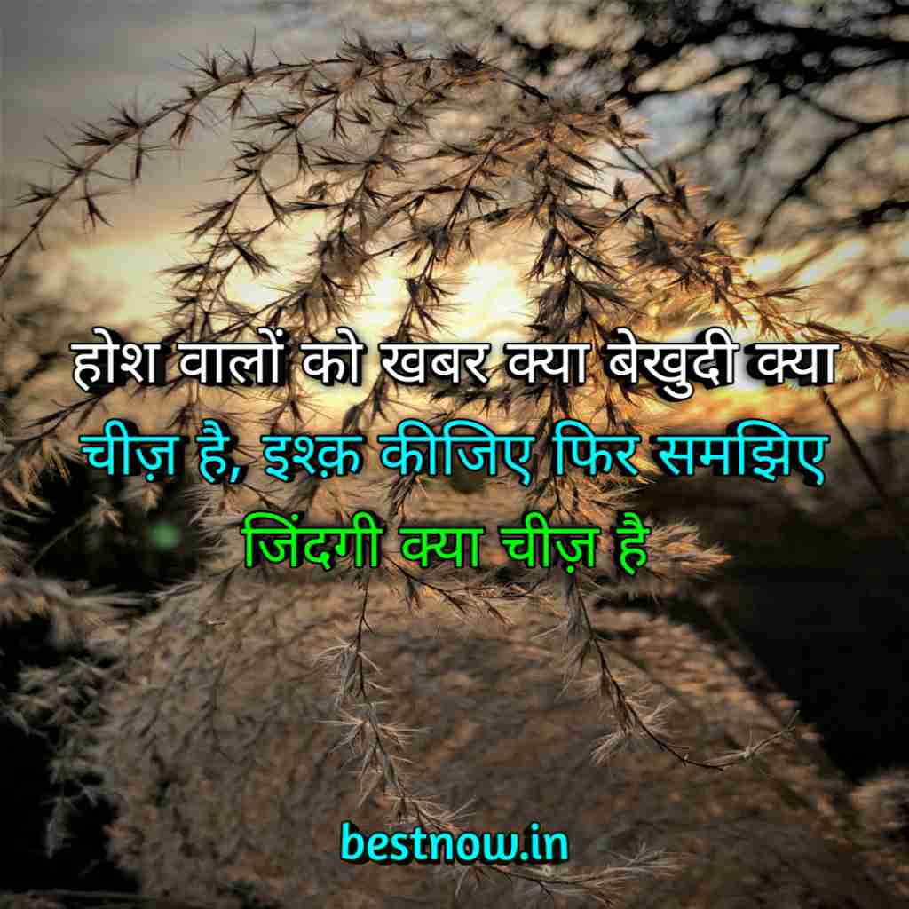 WhatsApp Profile Status