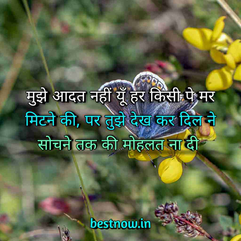 WhatsApp Profile Status