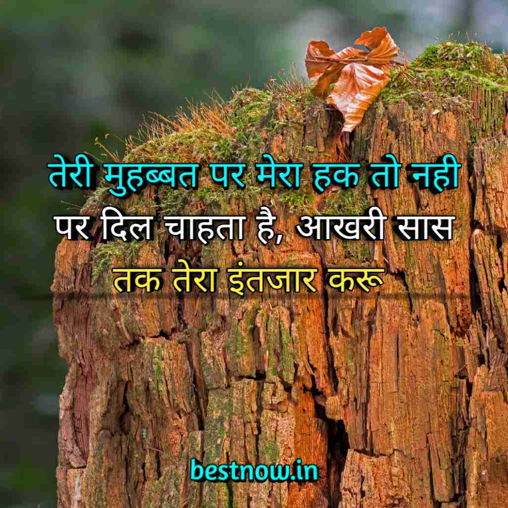 WhatsApp Profile Status