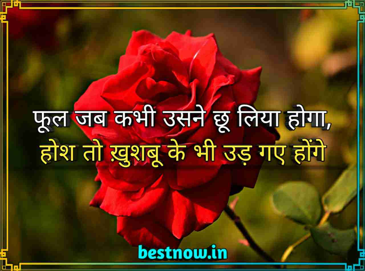 Love attitude status