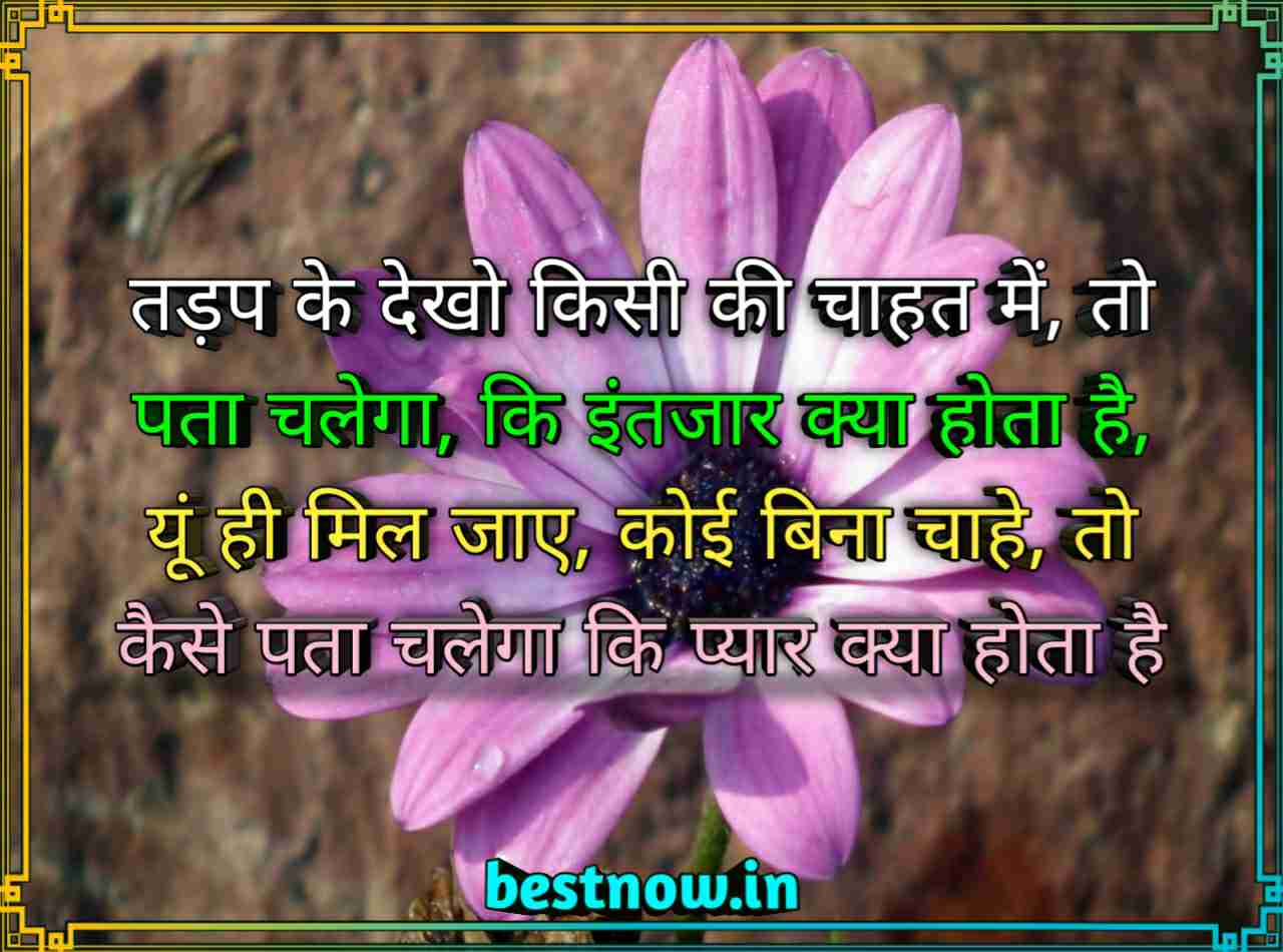 Love attitude status