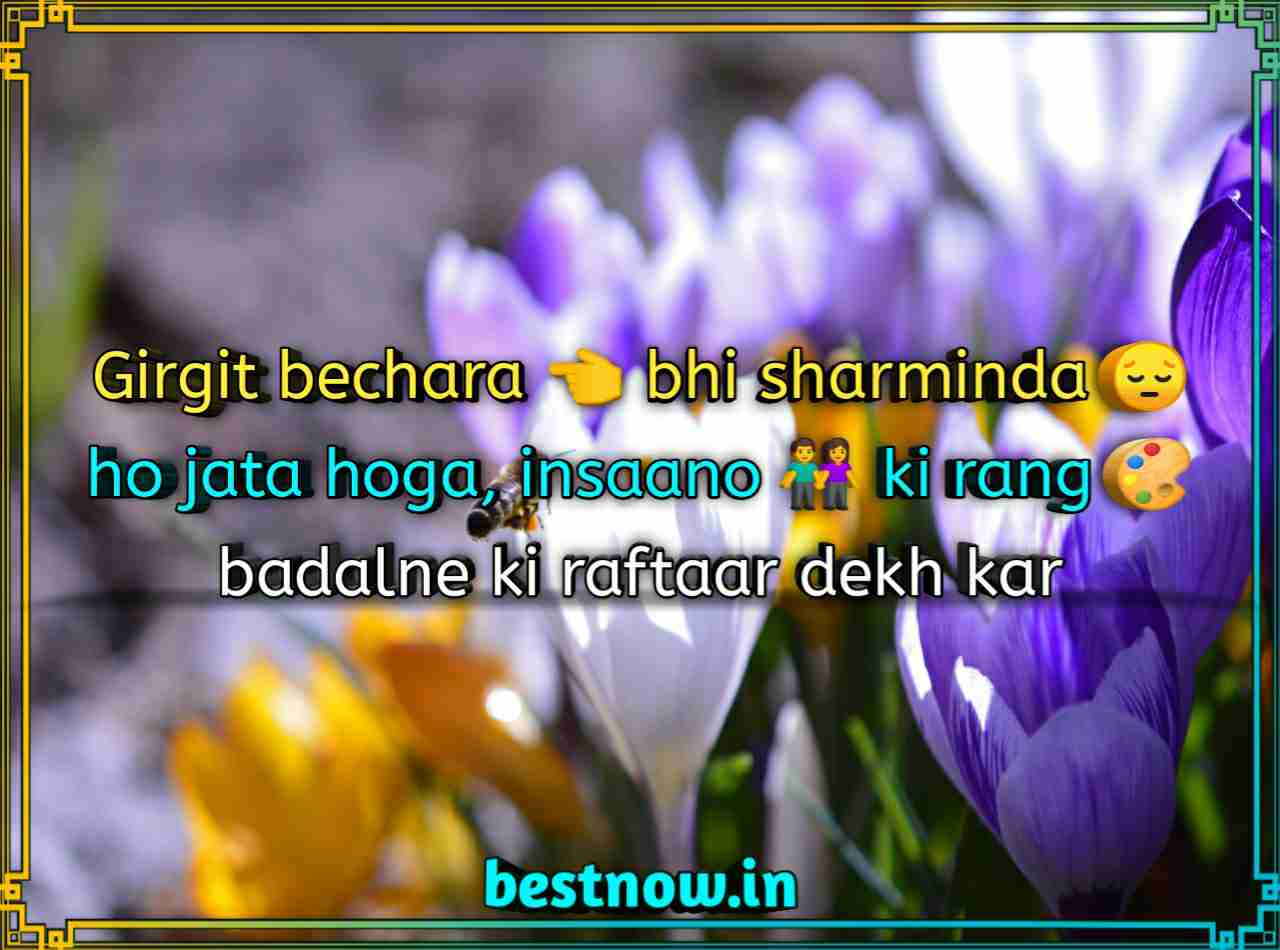 WhatsApp status in English