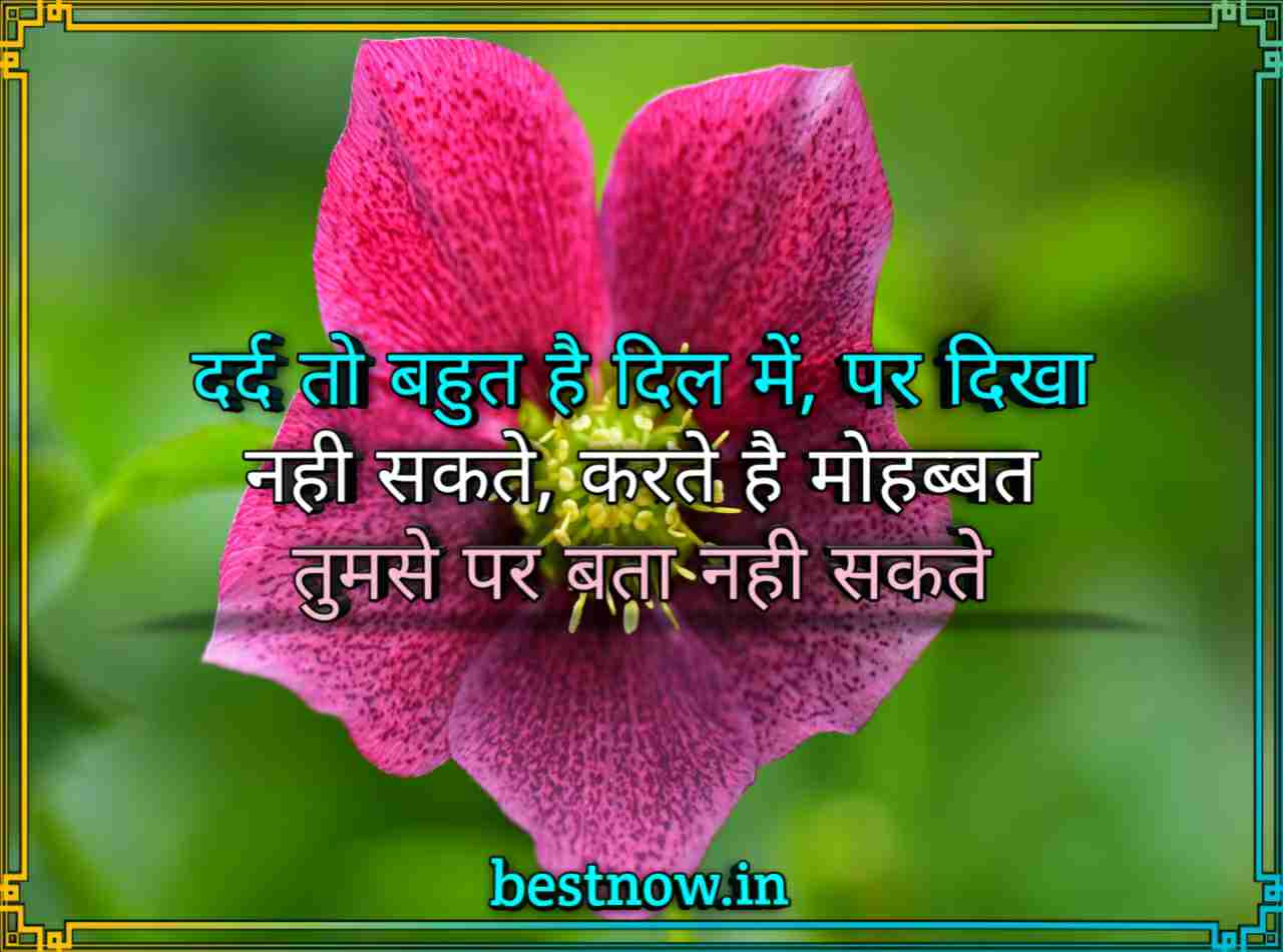 whatsapp sad love shayari

