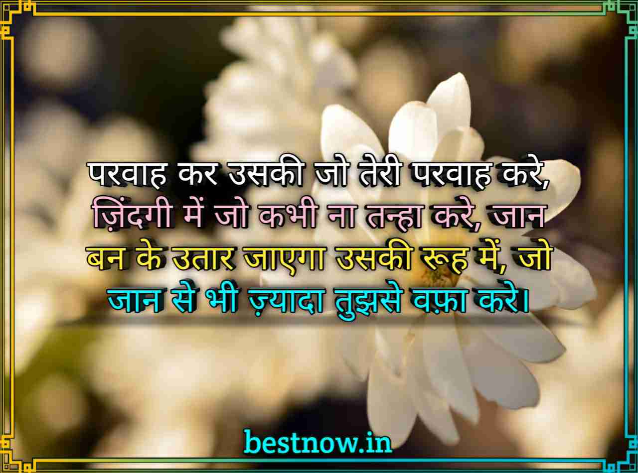 WhatsApp Shayari