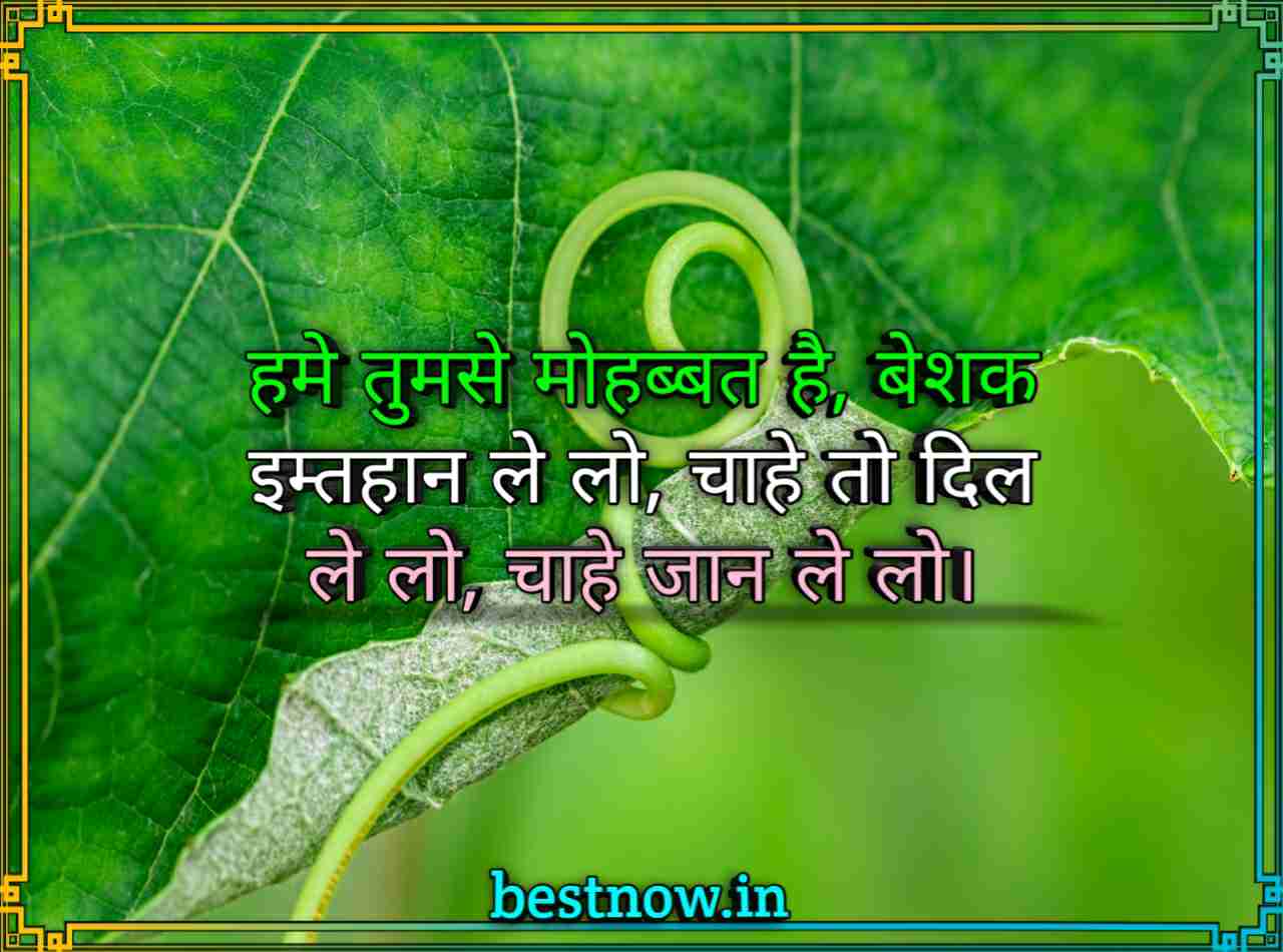 WhatsApp Shayari