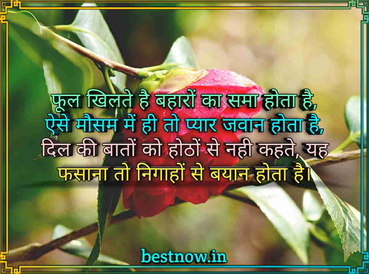 WhatsApp Shayari