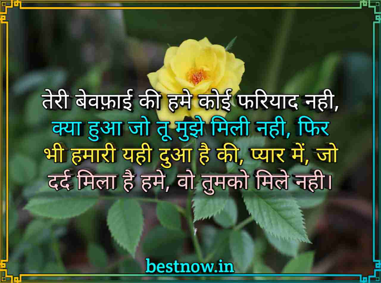 Hindi Shayari